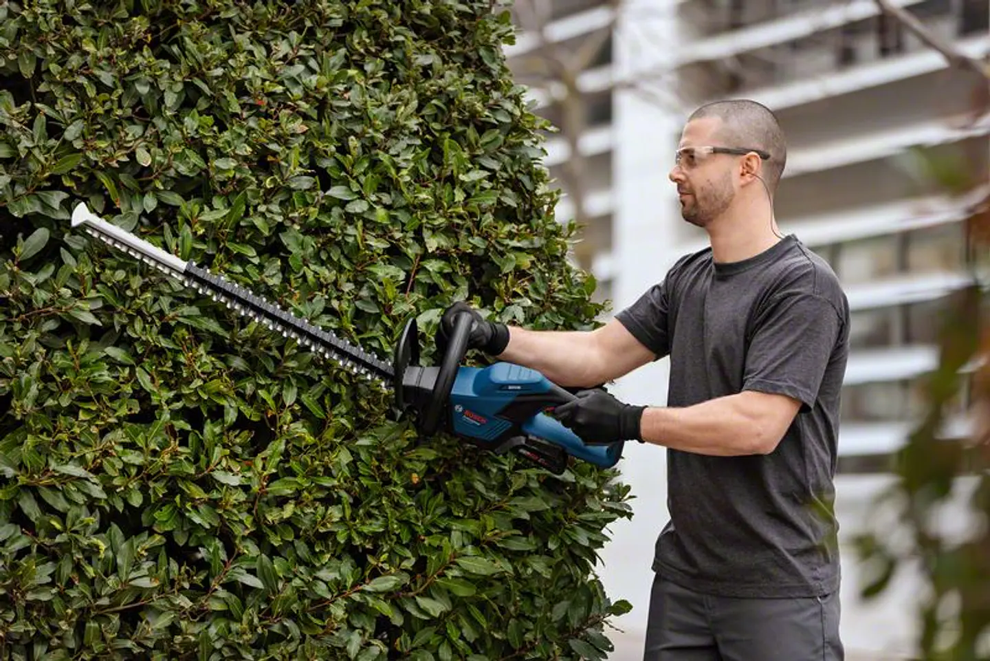 Corta-Sebes sem fio GHE 18V-60 BOSCH 6