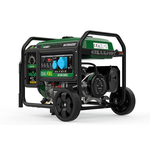 Gerador a Gasolina e Gás 5500/4900W 230V NATURA 6000 GENERGY 2