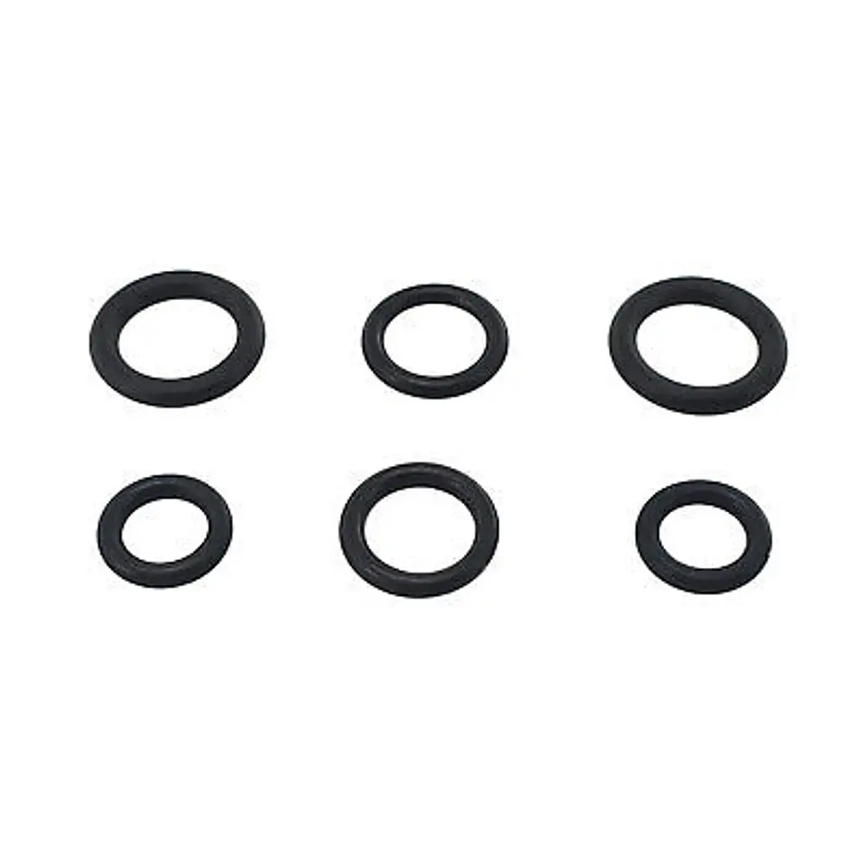 Jogo O-Rings F016F04458 BOSCH 1