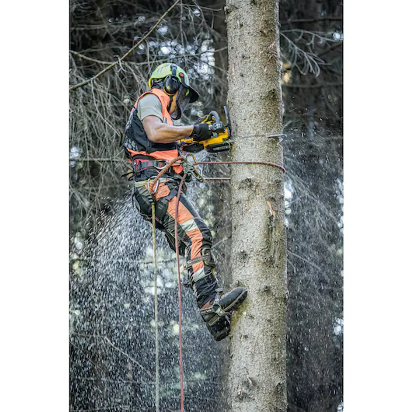 Eletroserra de Poda sem fio  35 cm XR FLEXVOLT DCMCST635X1-QW + 1 Bateria 54V/18V 3.0/9.0Ah DEWALT 4