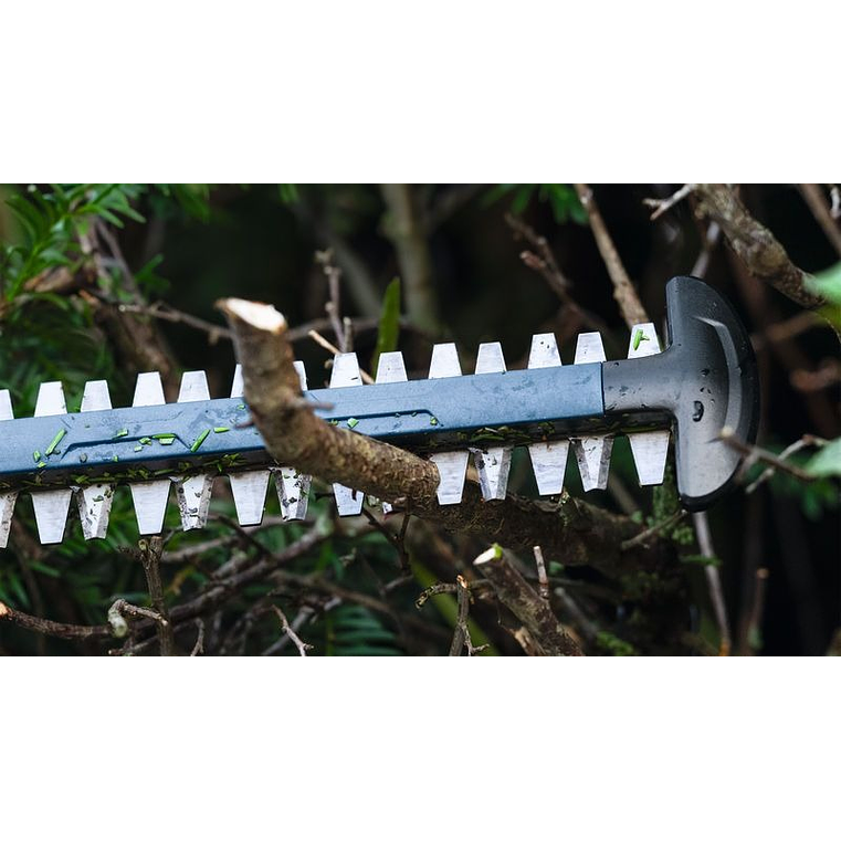 Corta-Sebes sem fio GHE 18V-50 (II) BOSCH 5