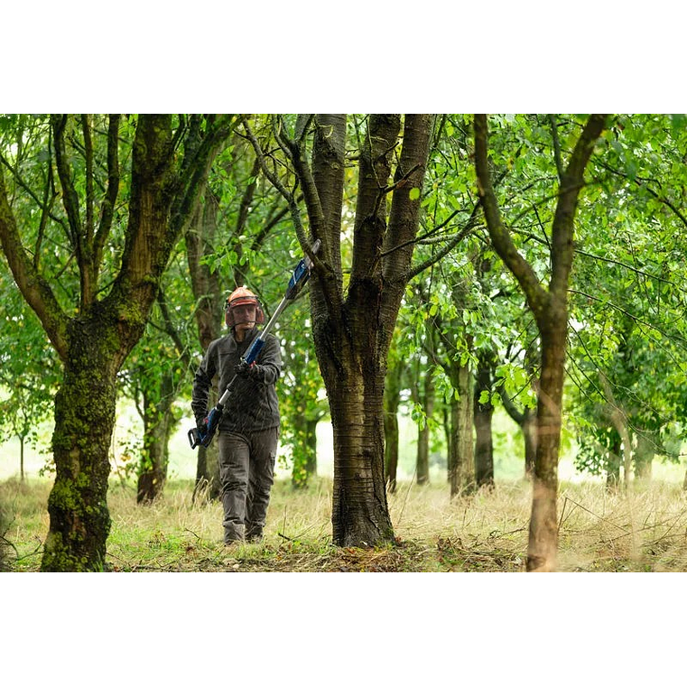 Podador telescópico sem fio GKE 18V-25 TP BOSCH 6