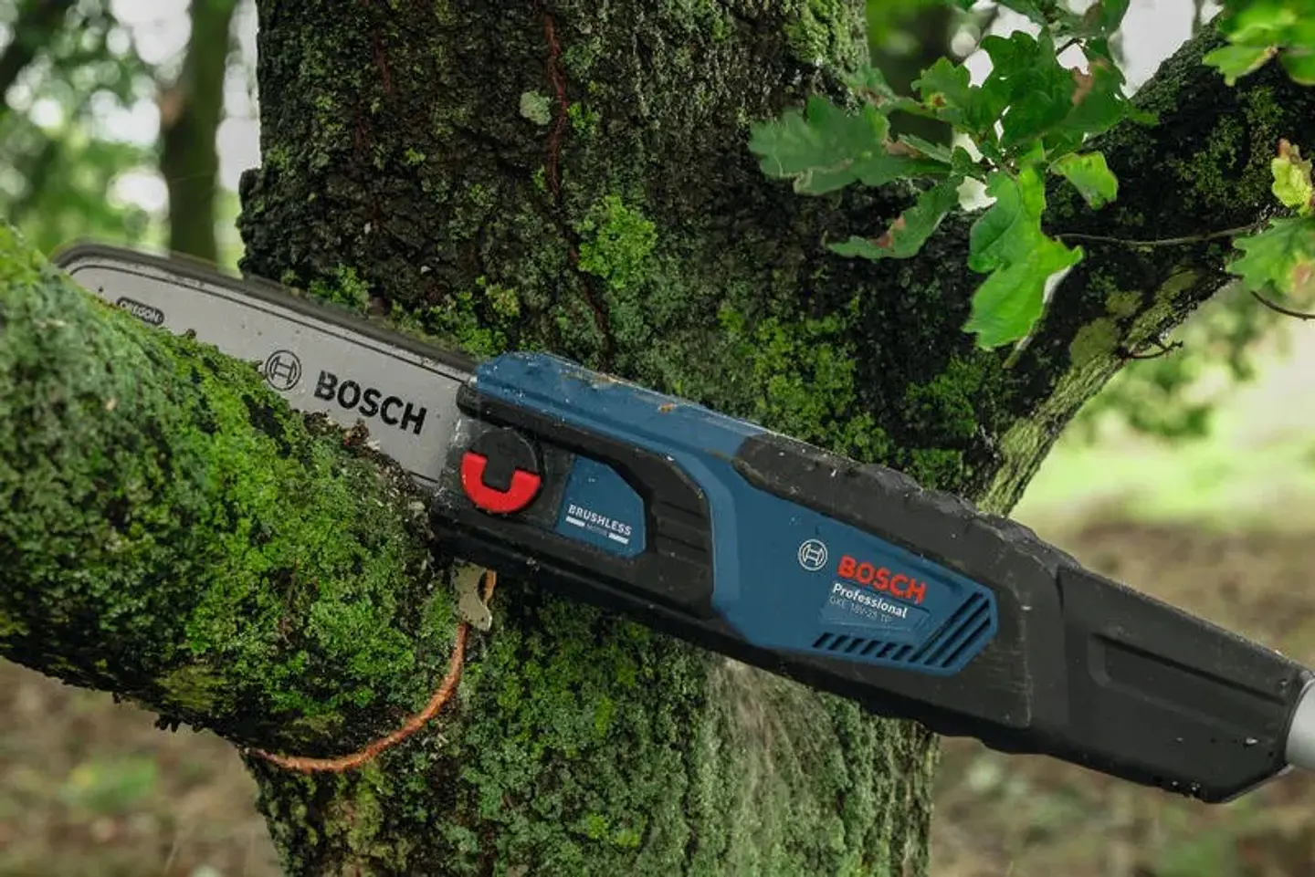 Podador telescópico sem fio GKE 18V-25 TP BOSCH 9