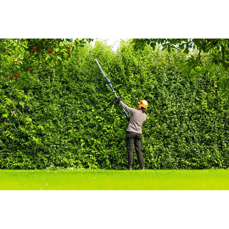 Corta-sebes sem fio PRO GHE18V-50FP BOSCH 11