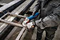 Rebarbadora PRO HEAVY DUTY GWS 12-125 P BOSCH - vignette 5