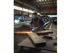 Rebarbadora PRO GWS 20-230 P BOSCH