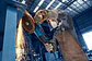 Rebarbadora EXPERT EXWS30-180B BOSCH - Thumbnail 5