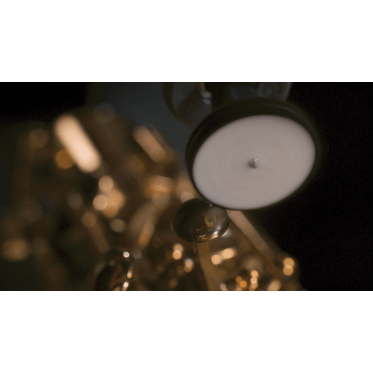 Disco de polir de 26 mm (429) DREMEL (3 unid.) 4