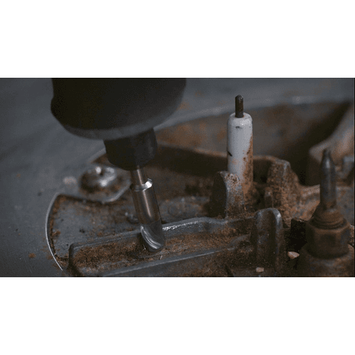 Escova de aço-carbono de 3,2 mm (443) DREMEL (3 unid.) 4