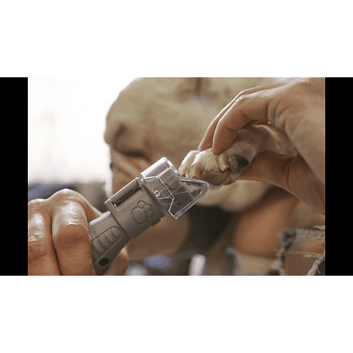 Proteção para unhas de animais de estimação AT02-PGK (AT02-PGK) DREMEL  4