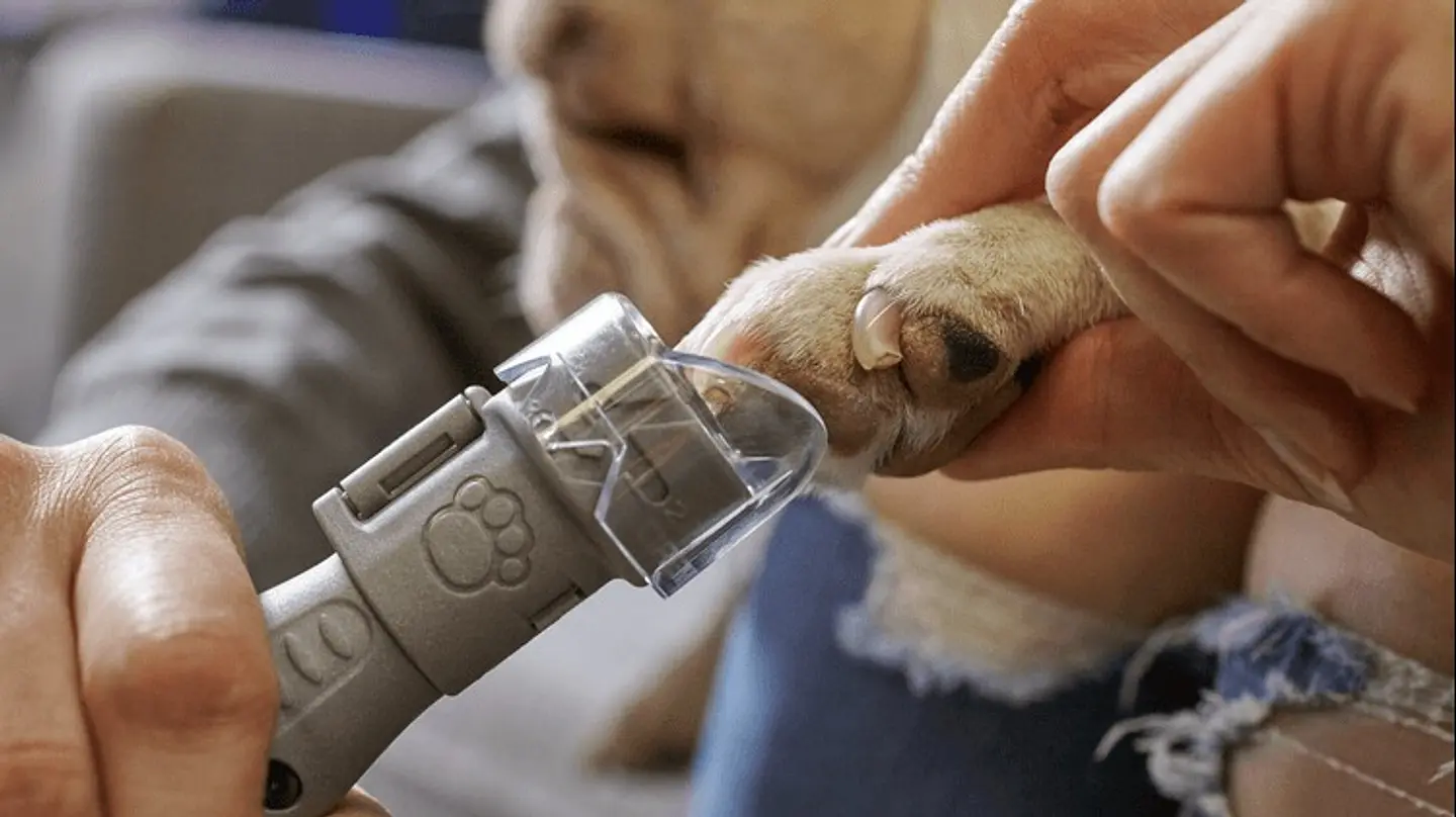 Kit para unhas para animais de estimação DREMEL® (7020-PGK)  7