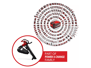 Aspirador de folhas sem fio GE-CL 36/230 Li E -Solo EXPRESS EINHELL 