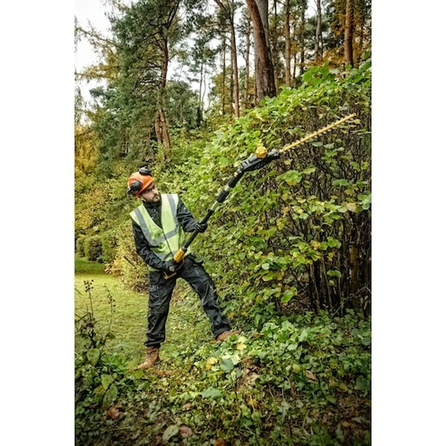 Aparador de sebes de vara XR 18V 55cm 25mm com 1 bateria de iões de lítio de 5Ah DEWALT  10