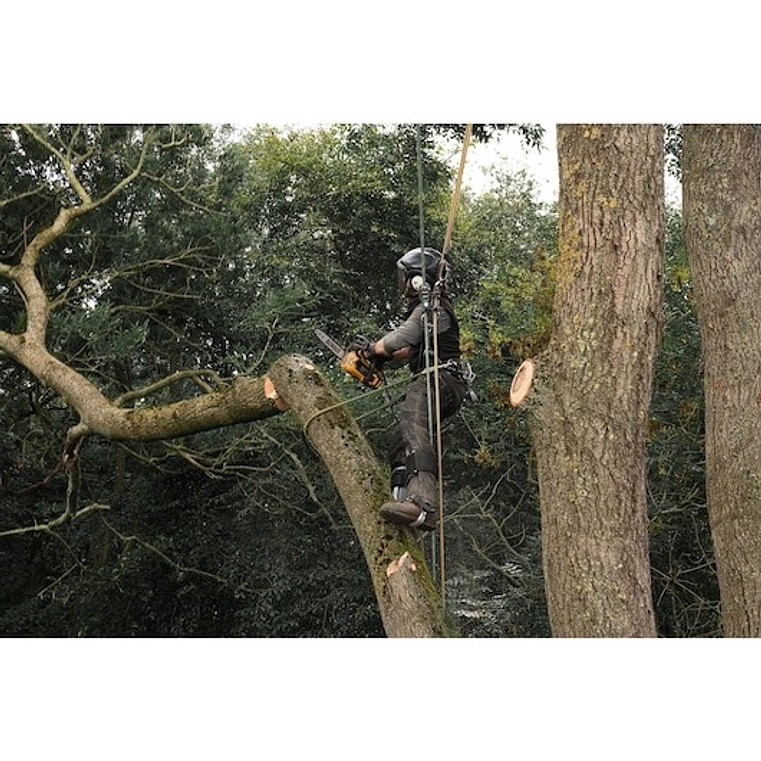 Motosserra de Poda sem escovas XR FLEXVOLT 54V 30cm com 1 bateria 54V/18V Li-Ion 9Ah DEWALT  8