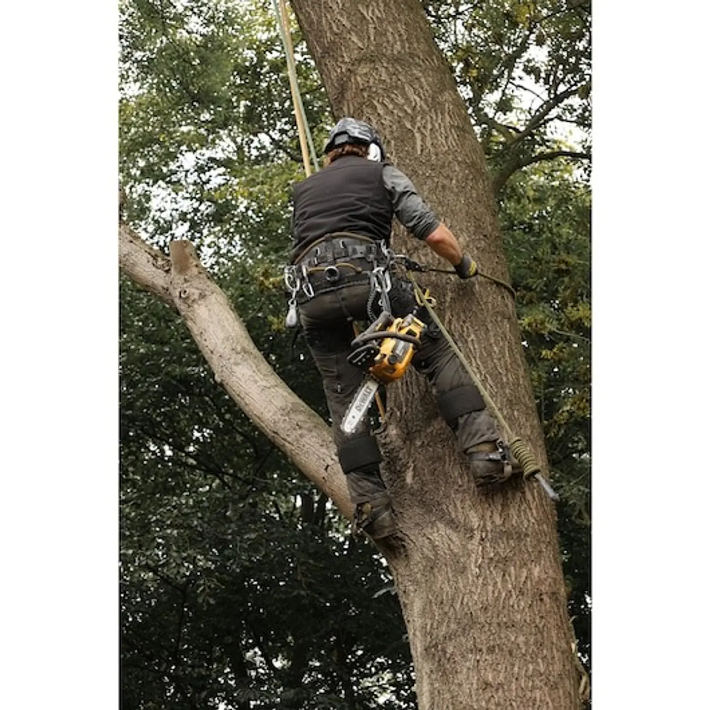 Motosserra de Poda sem escovas XR FLEXVOLT 54V 30cm sem carregador/bateria DEWALT  6