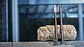 Cinzel plano EXPERT SDS plus 8C 5 unid. BOSCH   - Thumbnail 10
