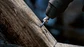 PRO SDS plus Rod Driver 1 unid. BOSCH  - Thumbnail 6