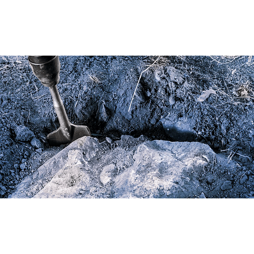 Cinzel PRO SDS max Excavation 110mm BOSCH  8