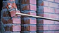 Ponteiro PRO SDS max-4C 1 unid. BOSCH  - Miniatura 9