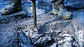 Cinzel plano PRO HEX 30-4C 1 unid. 35 mm BOSCH  - vignette 5