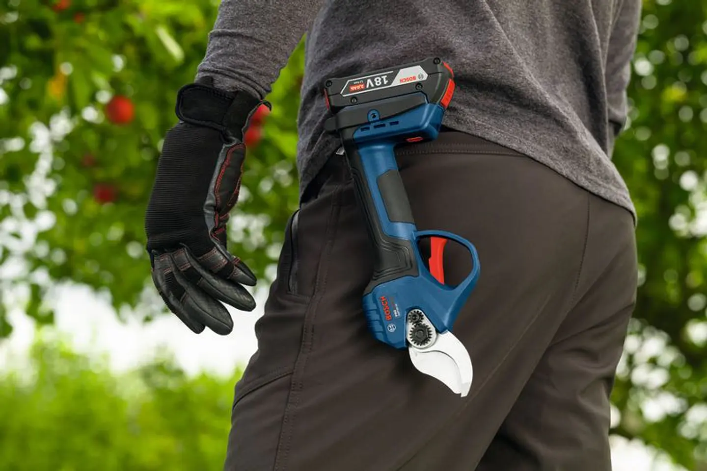 Podadora GGP18V-32 18V Tesoura de Jardim Sem Fio BOSCH 2