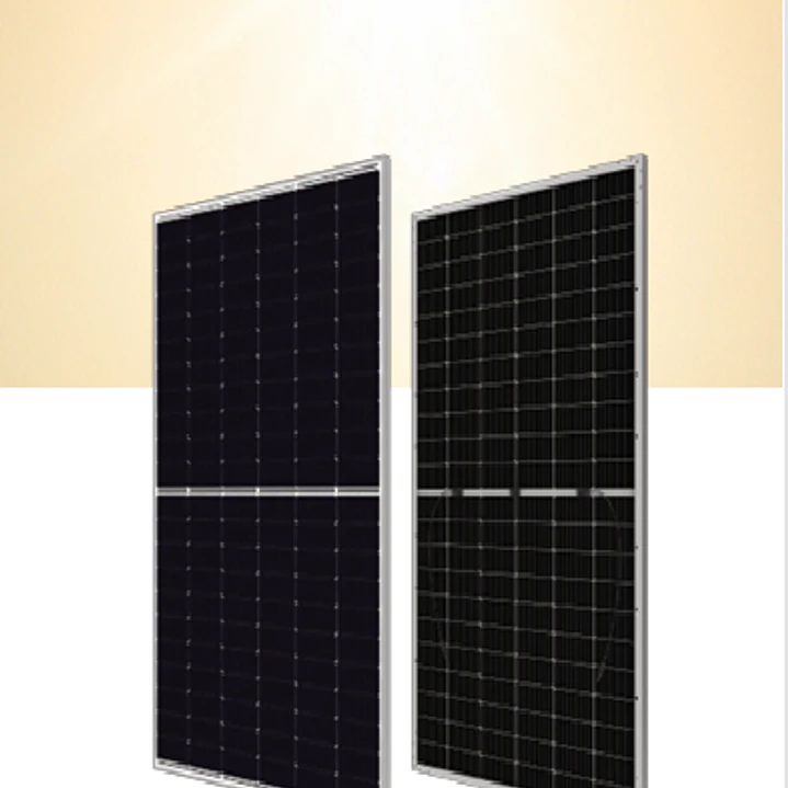 Panel Solar Canadian Solar 620W Bifacial N-Type TOPCon (Doble Vidrio) 1