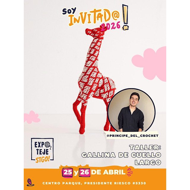 PRINCIPE DEL CROCHET - Gallina de cuello largo.