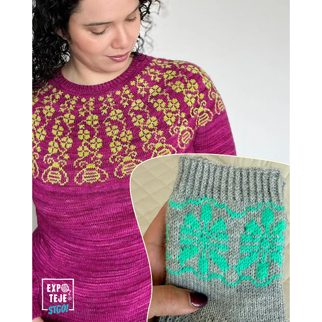 Dominando el stranded knitting o Colorwork   - Rina Leyton @rinaleyton_delonuestro