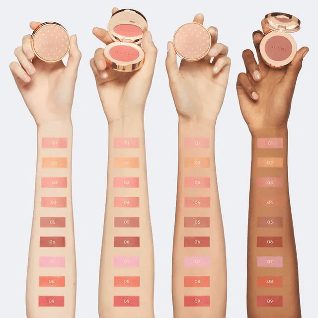 Luminous Matte Powder Blush