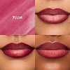 Flushed Lip Stain 12HR Transfer-Proof Lip Tint