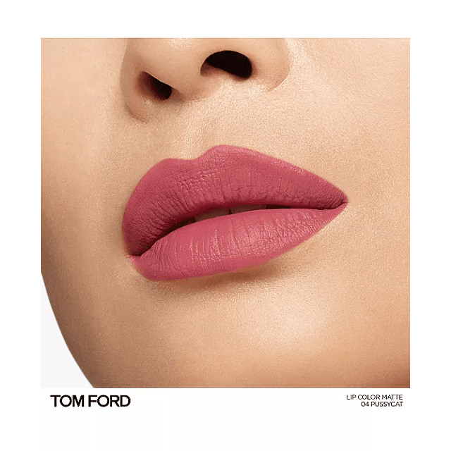 Lip Color Matte Lipstick