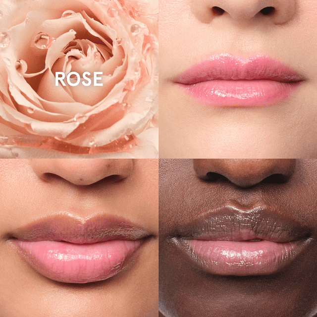 Balm Dotcom Lip Balm and Skin Salve Rose