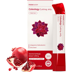 FOODOLOGY Coleology Cutting Stick Jelly 