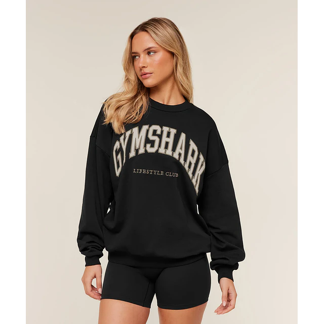 COLLEGIATE GRAPHIC CREW NECK PULLOVER