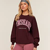 COLLEGIATE GRAPHIC CREW NECK PULLOVER