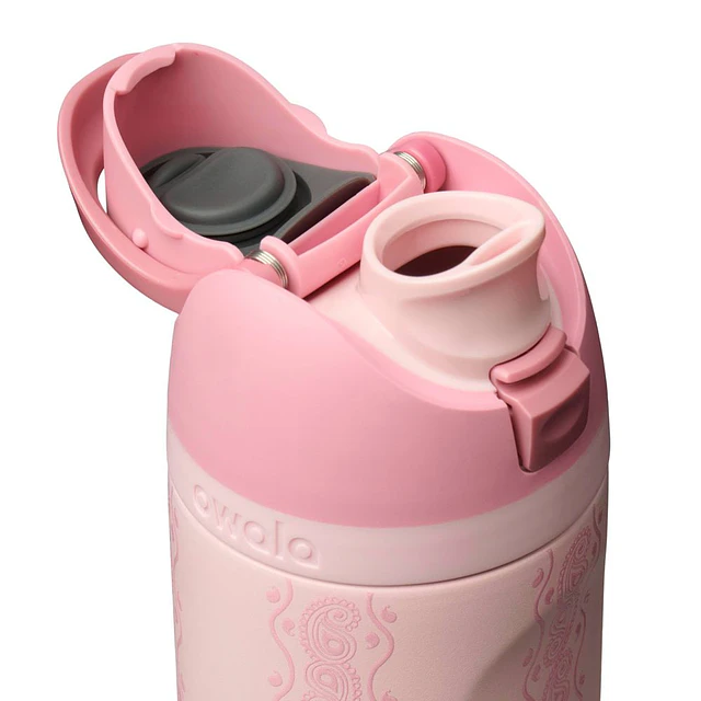 Painted Canyon FreeSip 24fl oz Water Bottle