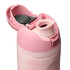 Painted Canyon FreeSip 24fl oz Water Bottle