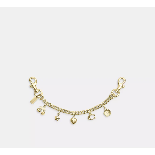 Swagger Chain With Charms