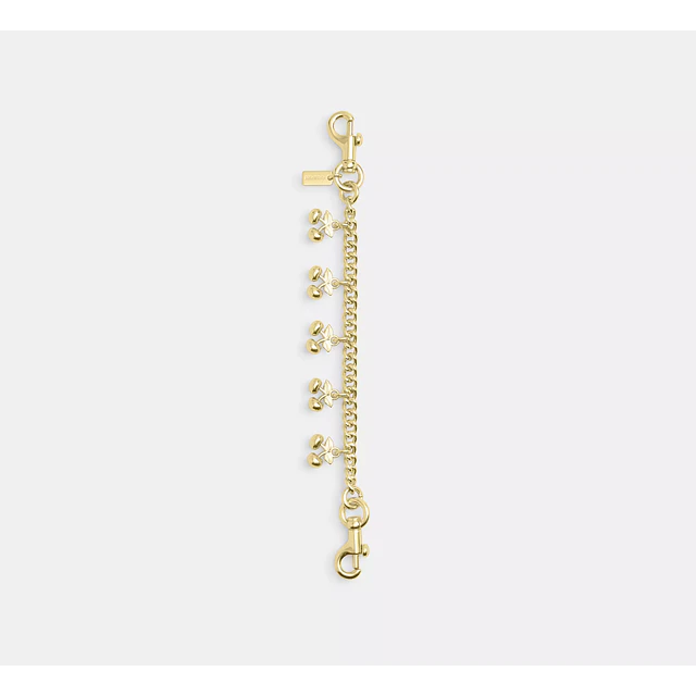 Swagger Chain With Charms