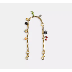 Chain Strap With Charms