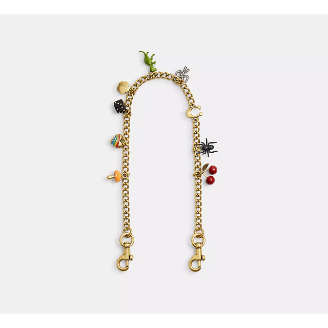 Chain Strap With Charms