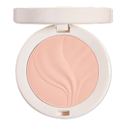 Natural Blur Brightening Powder