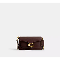 Tabby Chain Crossbody Bag 19