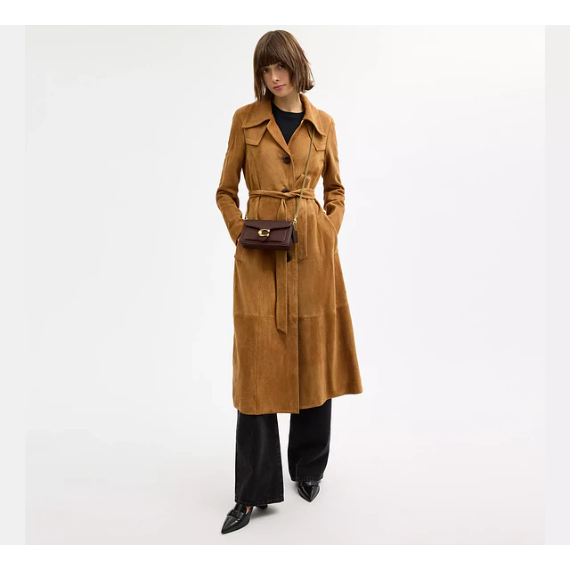 Tabby Chain Crossbody Bag 19