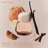 Mood Stones Kylie Jenner Collection Blush Wood Eau de Parfum