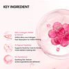 Collagen Peptide Jelly Capsule Cream