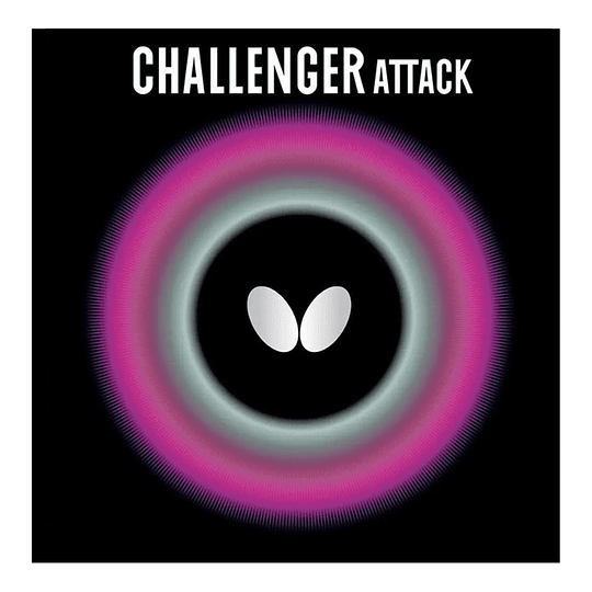 Challenger Attack - Image 1