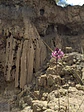 Tour por el Desierto de Checua (La Tatacoita) - Miniatura 4