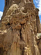Tour por el Desierto de Checua (La Tatacoita) - Miniatura 5