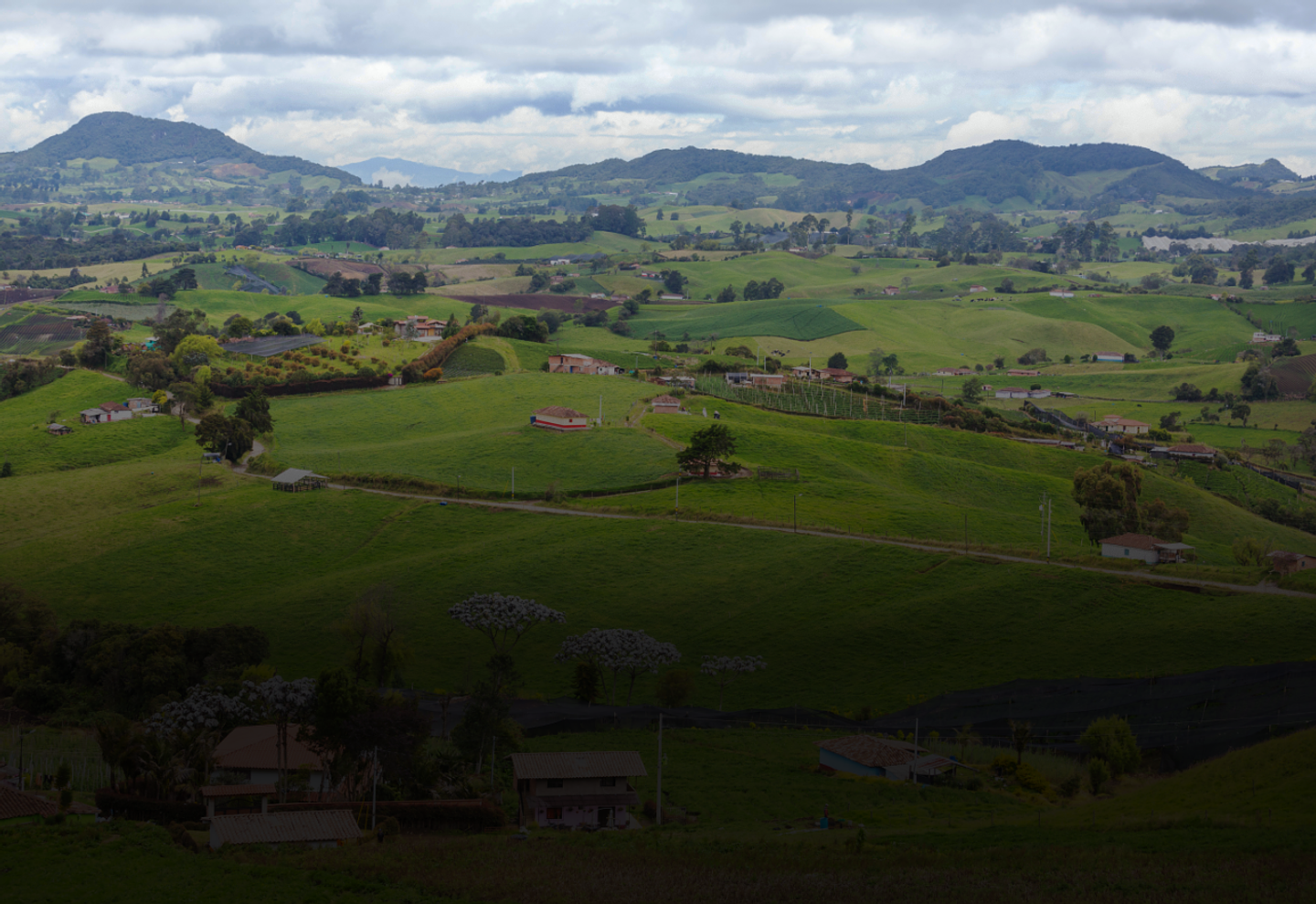 Experiencias inolvidables en Cundinamarca